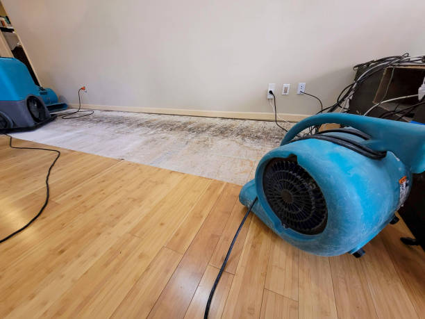 Professional Water Extraction technician working in Canyon, MN